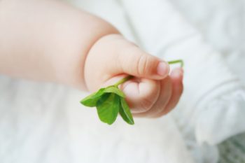 赤ちゃんの手と四葉のクローバー